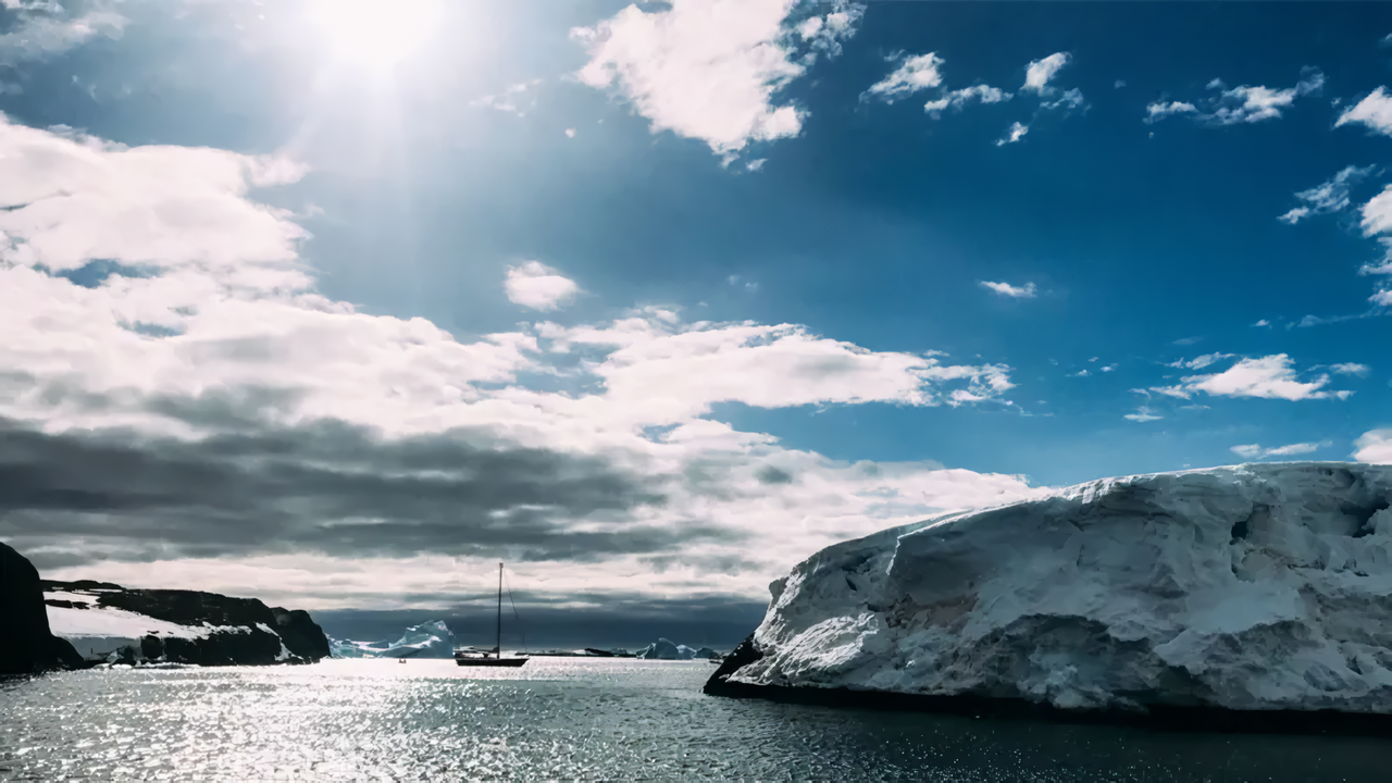 Ozone hole: Why Antarctic wildlife is being ‘sunburnt’