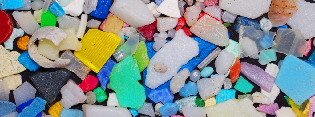 Scientists explore nature’s promise in combating plastic waste